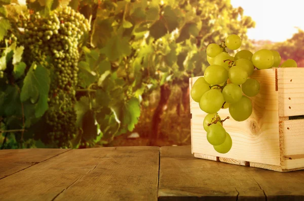 Image of summer grapes on wooden table — Stock Photo, Image