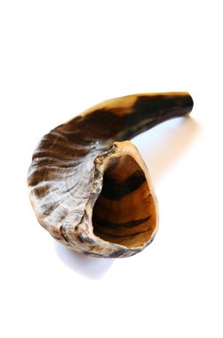 Shofar (boynuz) beyaz üzerinde izole. Yahudi geleneksel sembolü