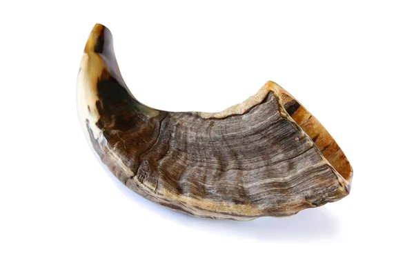 Shofar (horn) isolert på hvitt. jødisk nyttårsferie – stockfoto