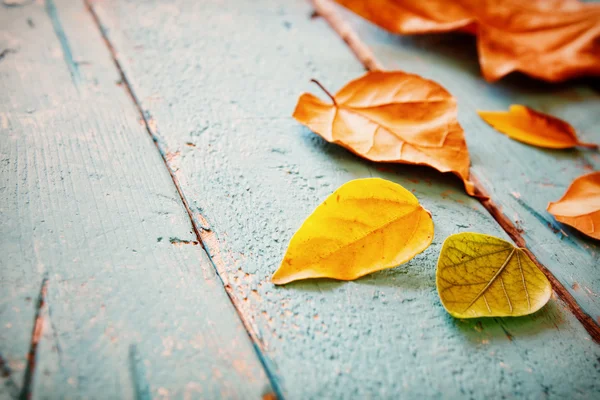 Herbst Hintergrund mit trockenen Blättern auf Holztisch — Stockfoto