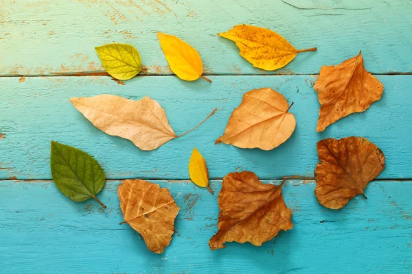 Fondo de otoño con hojas secas sobre mesa de madera . —  Fotos de Stock