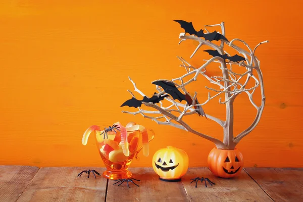 Halloween concept. Schattig pompoenen, snoep en boom met vleermuizen — Stockfoto