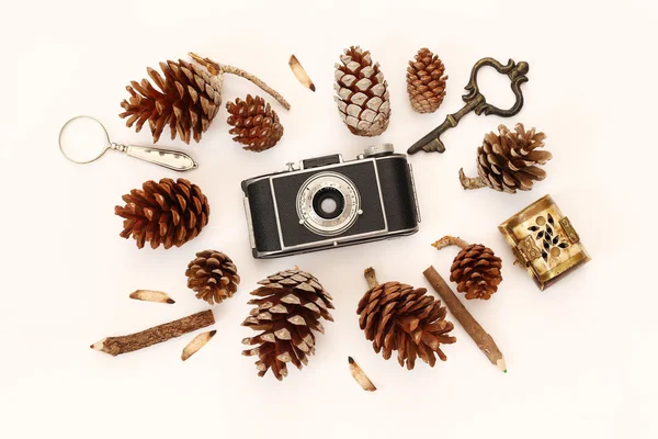 Vintage câmera antiga e cones de pinho no fundo branco — Fotografia de Stock