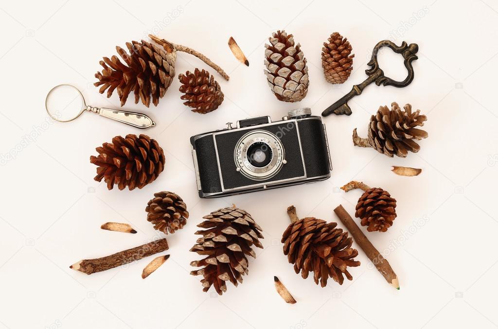 vintage old camera and pine cones on white background