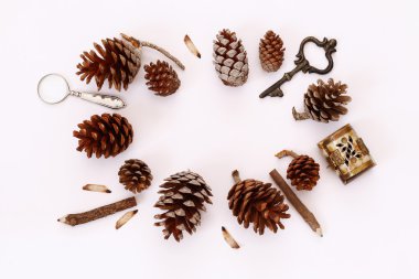 Vintage nesneleri ve çam kozalakları Üstten Görünüm