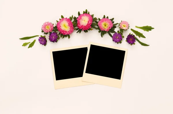 Розовые цветы и пустая рамка на белом фоне — стоковое фото
