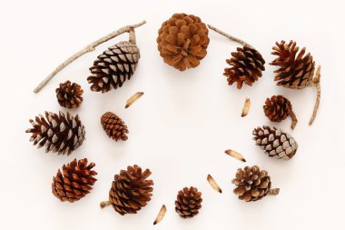 Çam kozalakları üstten görünüm beyaz arka plan üzerinde