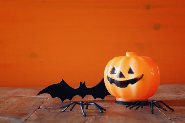 Концепция праздника Хэллоуина. Милая тыква и летучая мышь — стоковое фото