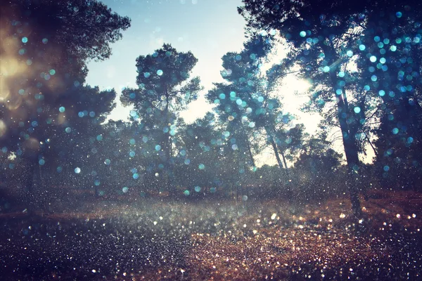 抽象的なぼやけた夢のような森ときらめきのボケ味 — ストック写真