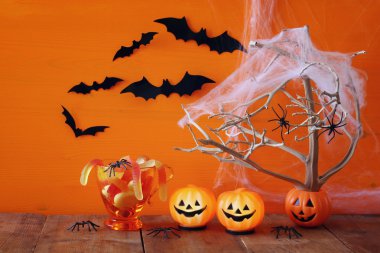 Cadılar Bayramı kavramı. Pumpkins, şeker ve yarasalar ile ağacı