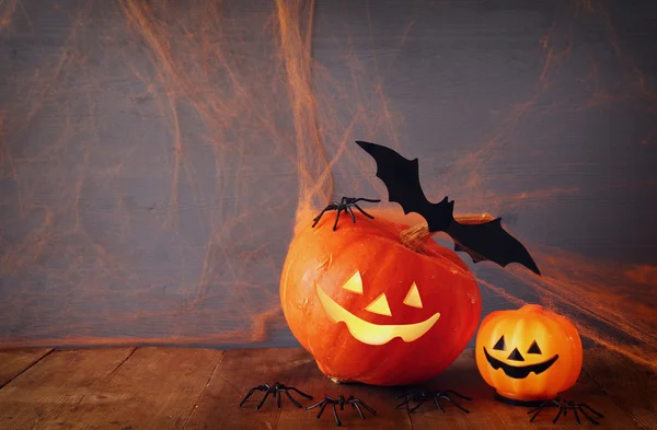 Concept van Halloween vakantie. Schattig pompoenen en vleermuis — Stockfoto