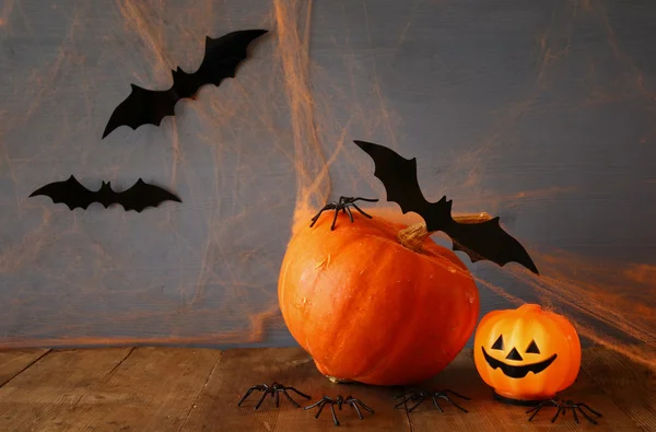 Concepto de Halloween. Linda calabaza y murciélagos — Foto de Stock