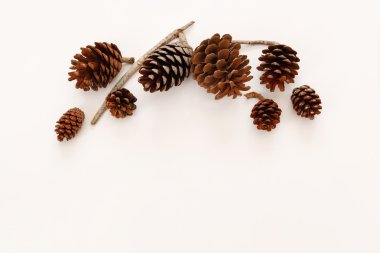 Çam kozalakları üstten görünüm beyaz arka plan üzerinde