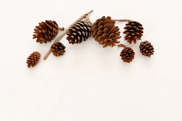 Top view of pine cones on white background — Stock Photo, Image