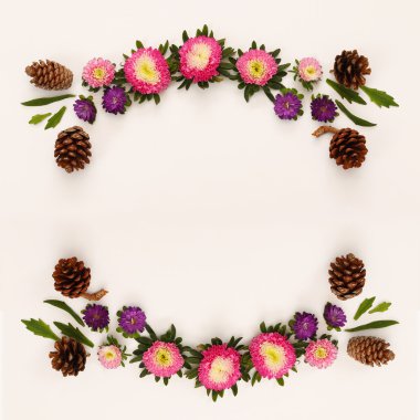 Güzel pembe çiçek Üstten Görünüm