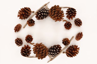 Çam kozalakları üstten görünüm beyaz arka plan üzerinde