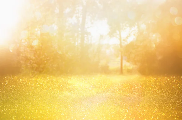 Blurred abstract photo of light among trees and glitter — Stock Photo, Image