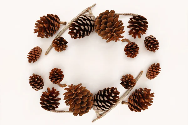 Çam kozalakları üstten görünüm beyaz arka plan üzerinde