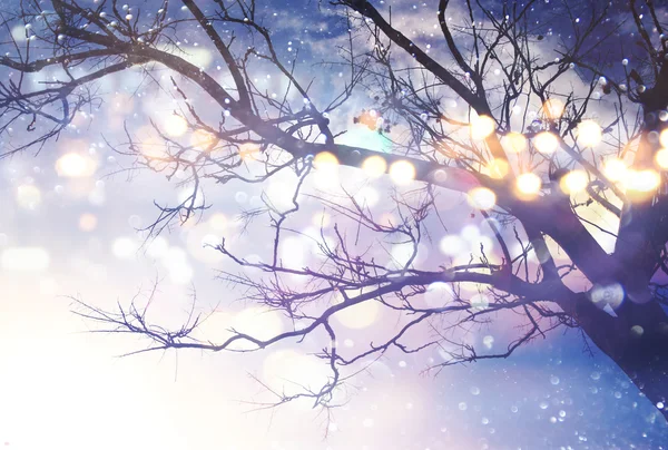 Tree with glitter lights — Stock Photo, Image