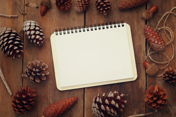 Cones de pinheiro e caderno em branco aberto — Fotografia de Stock