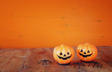 Şirin kabaklar ve örümcekler