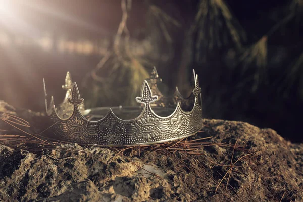 Загадкова Магічна Фотографія Корони Срібного Короля Англії Лісі Над Каменем — стокове фото