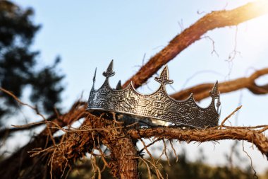 İngiltere ormanlarındaki Kral Crown 'ın eski ağaç dalının üzerindeki gizemli ve sihirli fotoğrafı. Ortaçağ konsepti.