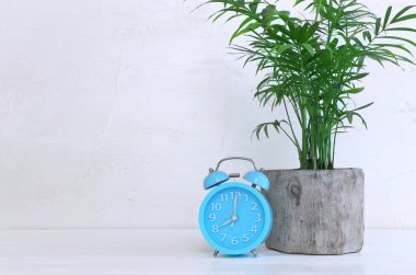 Beyaz duvar arkaplanı üzerinde yeşil bitki bulunan ahşap masanın iç görüntüsü