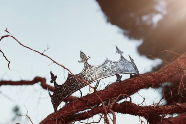 İngiltere ormanlarındaki Kral Crown 'ın eski ağaç dalının üzerindeki gizemli ve sihirli fotoğrafı. Ortaçağ konsepti.