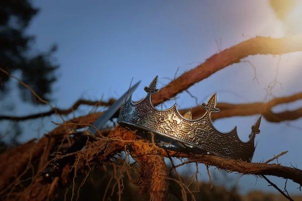 Ngiltere Ormanlarındaki Kral Crown Eski Ağaç Dalının Üzerindeki Gizemli Sihirli — Stok fotoğraf