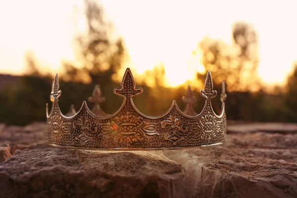Titokzatos Varázslatos Fotó Ezüst Király Koronát Angliai Erdőben Felett Középkori — Stock Fotó