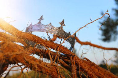 İngiltere ormanlarındaki Kral Crown 'ın eski ağaç dalının üzerindeki gizemli ve sihirli fotoğrafı. Ortaçağ konsepti.