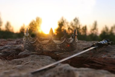 İngiltere ormanlarındaki gümüş kral tacının ve kılıcın gizemli ve sihirli fotoğrafı. Ortaçağ konsepti.
