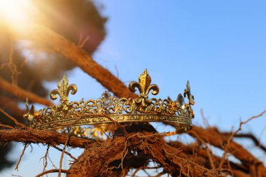 mysterious and magical photo of king crown in the England woods over old tree branch. Medieval period concept. clipart