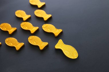 farklı balıklar farklı şekillerde yüzüyorlar. Cesaret ve başarı kavramı. Tahta arkaplan