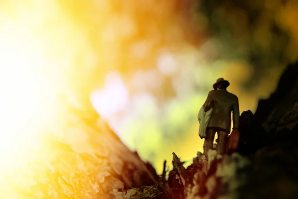 Imagen Surrealista Del Hombre Misterioso Caminando Solo Campo Durante Atardecer — Foto de Stock