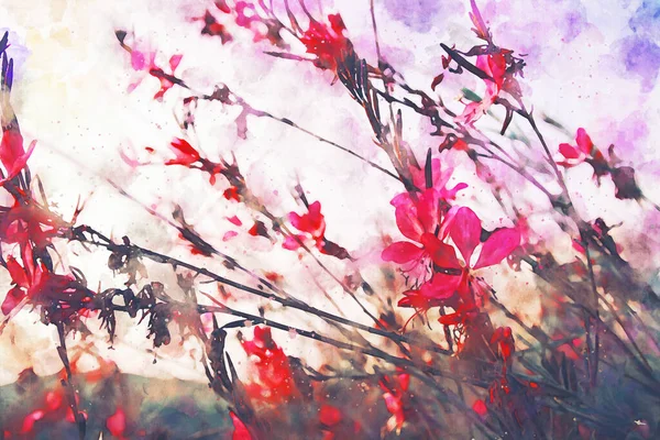 抽象的な水彩画ピンクと赤の野の花のイラスト — ストック写真