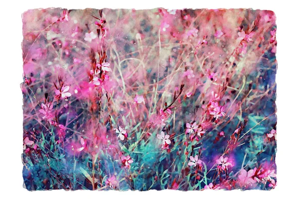 粉红两色野花的水彩画 — 图库照片