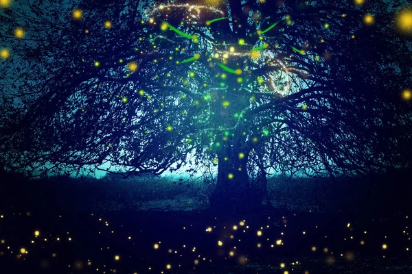 Abstract Magical Image Firefly Flying Night Forest Fairy Tale Concept — Stock Photo, Image