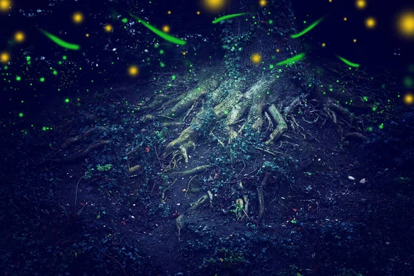 Firefly 'ın gece ormanında uçuşunun soyut ve büyülü görüntüsü. Peri masalı kavramı