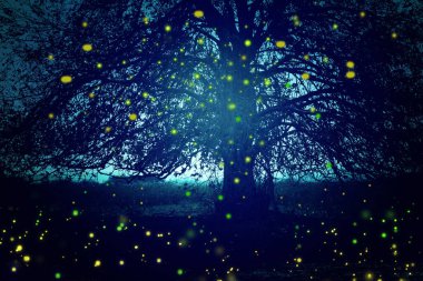 Firefly 'ın gece ormanında uçuşunun soyut ve büyülü görüntüsü. Peri masalı kavramı