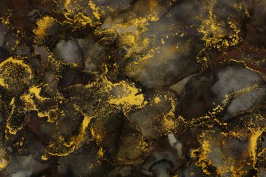 Alkol mürekkebi, siyah ve altın rengi olan soyut sıvı sanat resimlerinin sanat fotoğrafçılığı