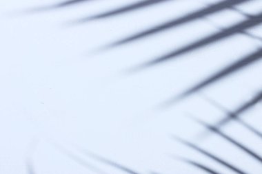 Palmiye yapraklarının desenli beyaz bir duvarın üzerinde olduğu bulanık ve soyut bir arkaplan resmi