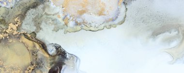 Alkol mürekkebi, siyah ve altın rengi olan soyut sıvı sanat resimlerinin sanat fotoğrafçılığı