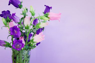 spring bouquet of purple and pink bell flowers over purple wooden background
