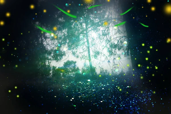 Image Abstraite Magique Luciole Volant Dans Forêt Nocturne Concept Conte — Photo