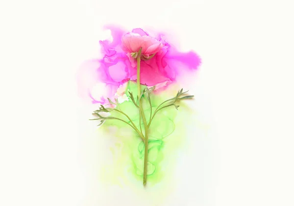 Creative Image Buttercup Flower Artistic Ink Background Top View Copy — Stock Photo, Image