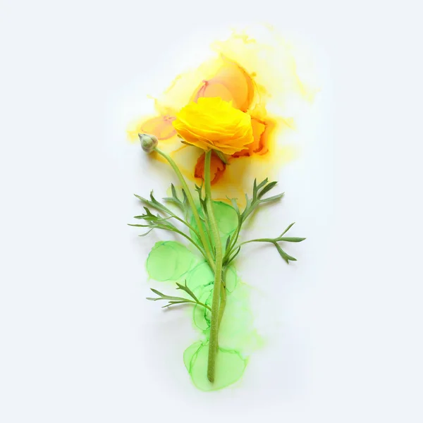 Kreatives Bild Von Schönen Gelben Butterblume Auf Künstlerischen Tinte Hintergrund — Stockfoto