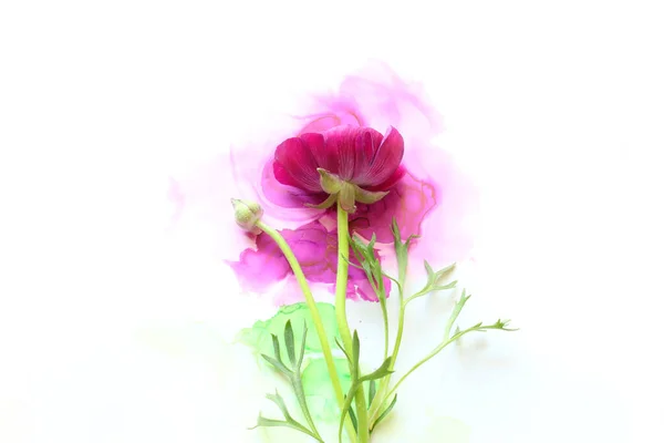 Artistik Mürekkep Zemininde Güzel Mor Bir Düğün Çiçeği Resmi Kopyalama — Stok fotoğraf