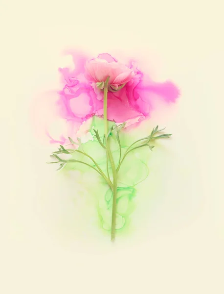 Artistik Mürekkep Arkaplanındaki Buttercup Çiçeğinin Yaratıcı Görüntüsü Kopyalama Alanı Olan — Stok fotoğraf